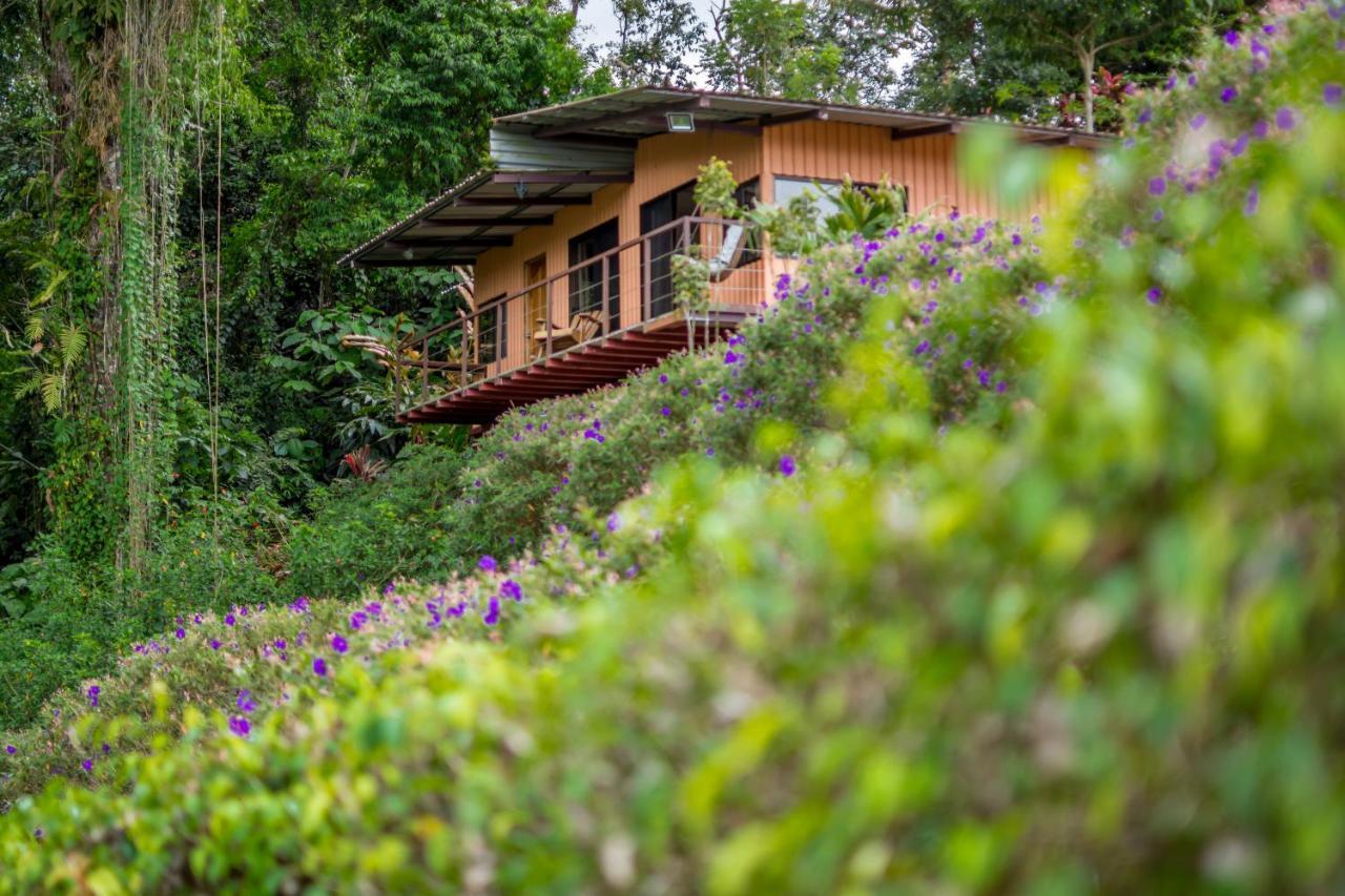 Nepenthe B&B El Castillo ภายนอก รูปภาพ